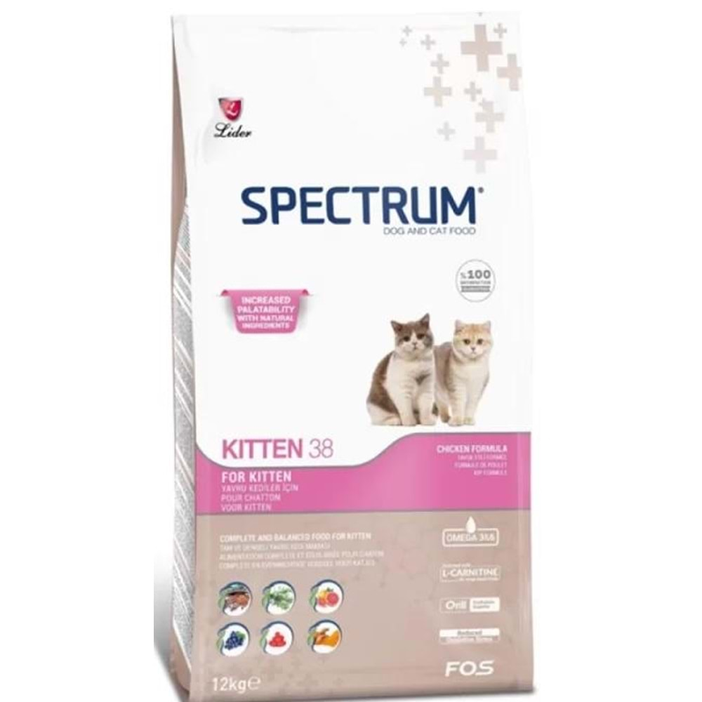 SPECTRUM KİTTEN38 12KG