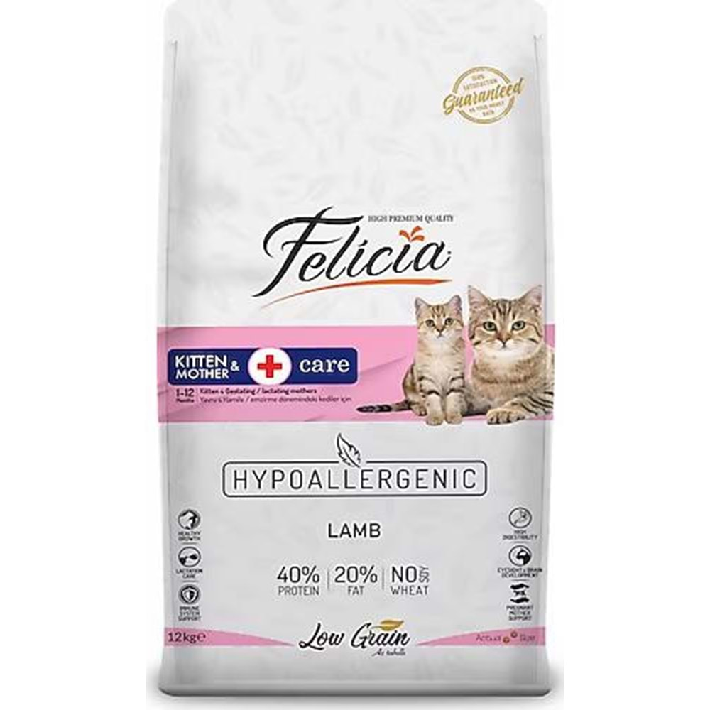 FELİCİA KİTTEN&MOTHER LAMB 12KG