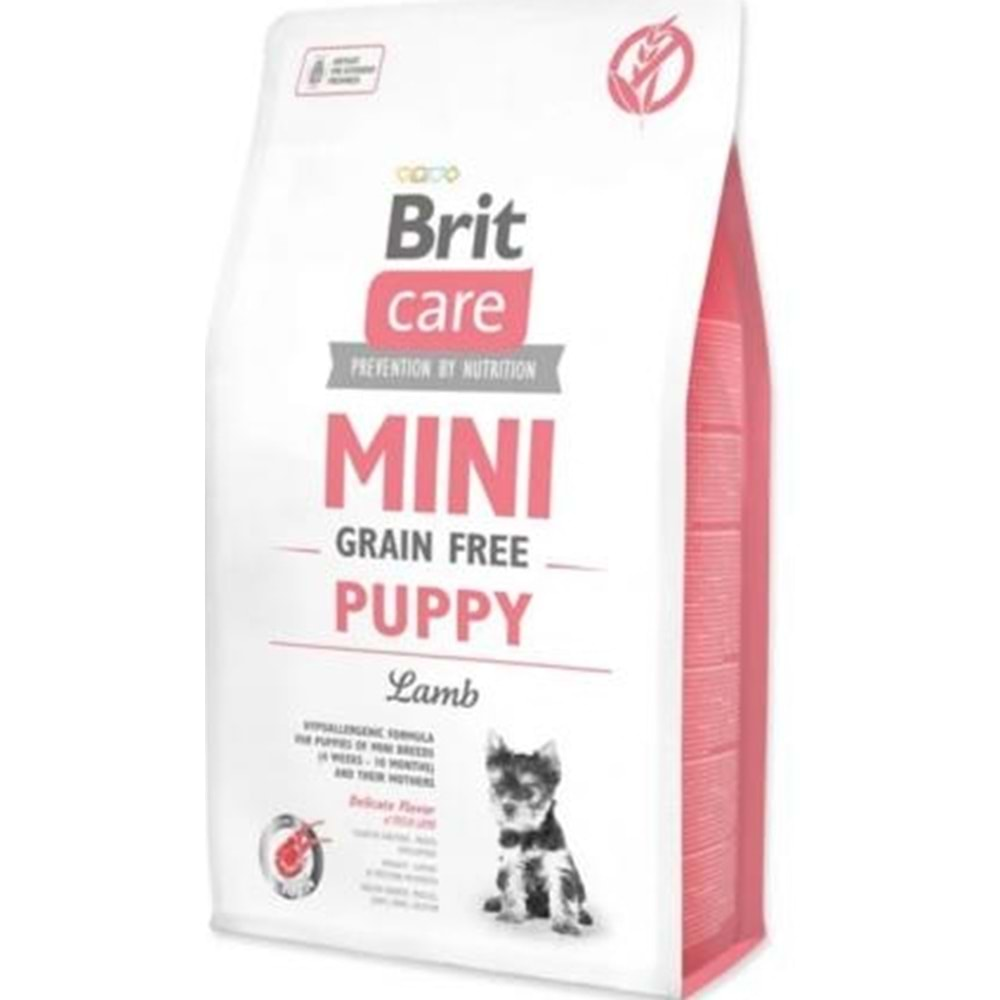 BRİT MİNİ GRAİN FREE PUPPY 2KG