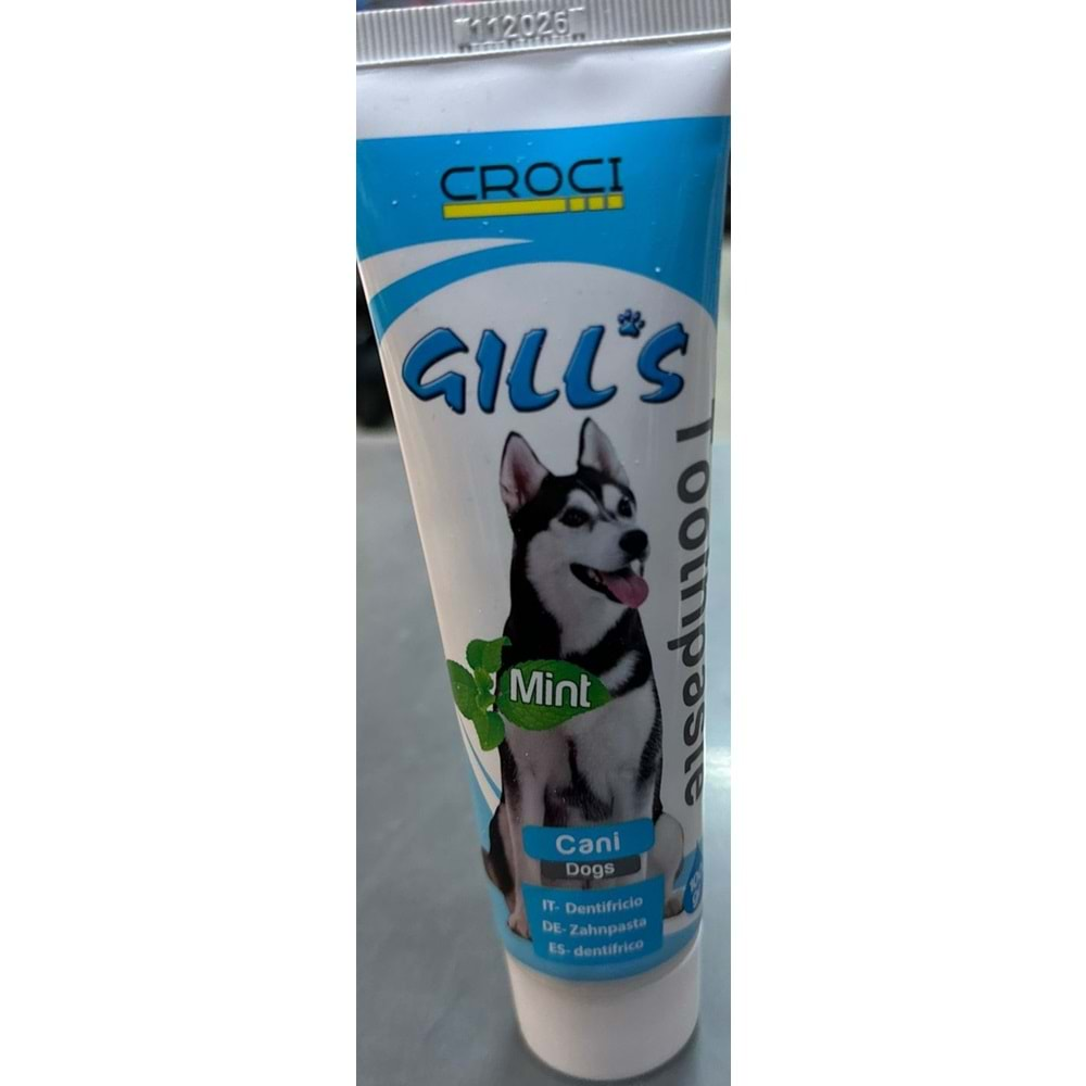 GILLS MINT TOOTHPASTE 100G