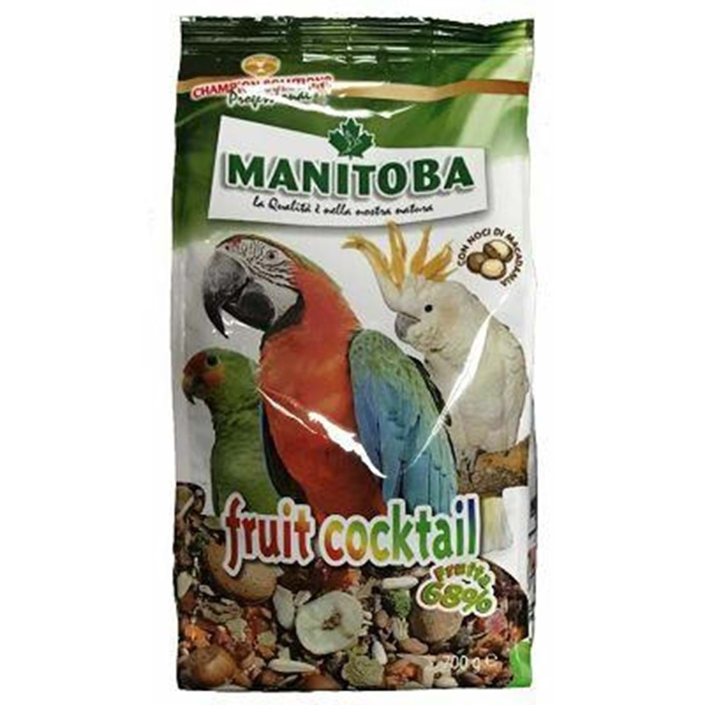 MANİTOBA FRUİT COCKTAİL 700G