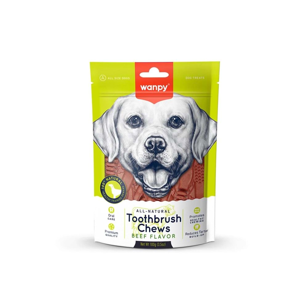 WANPY TOOTHBRUSH CHEWS BEEF FLAVOR 100G