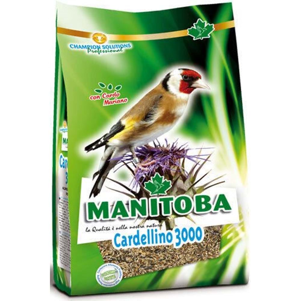 MANİTOBA CARDELLİNO 3000 1KG