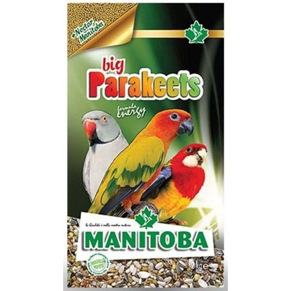 MANİTOBA BİG PARAKETS ENERGY 2KG