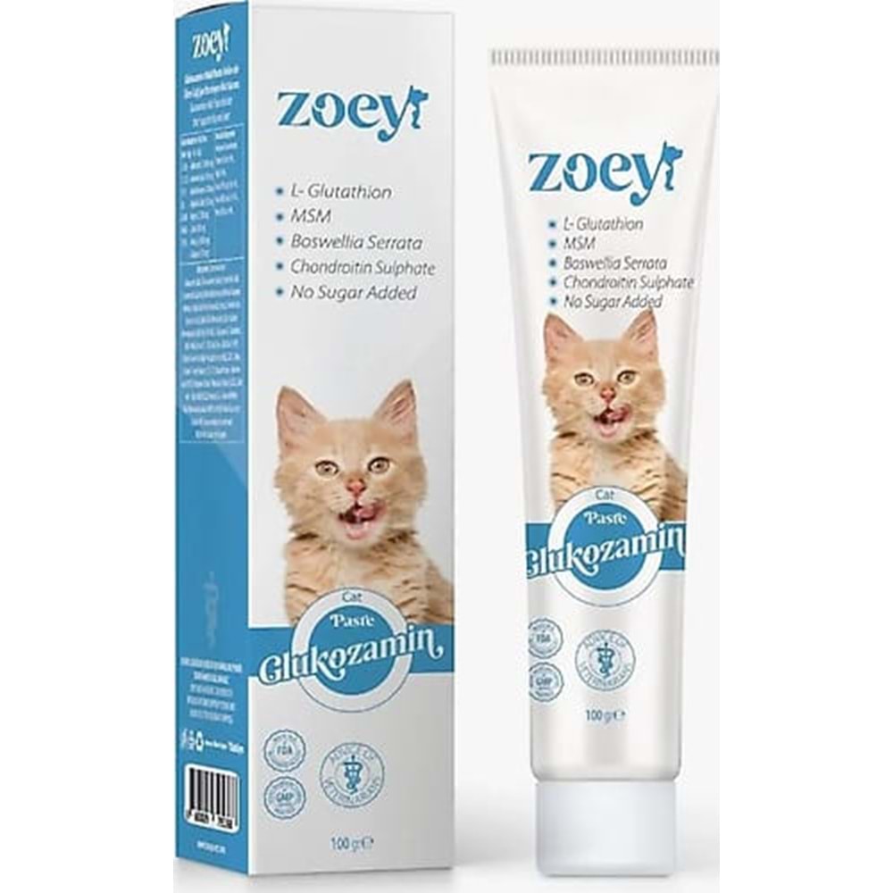 ZOEY GLUKOZAMİN 100G