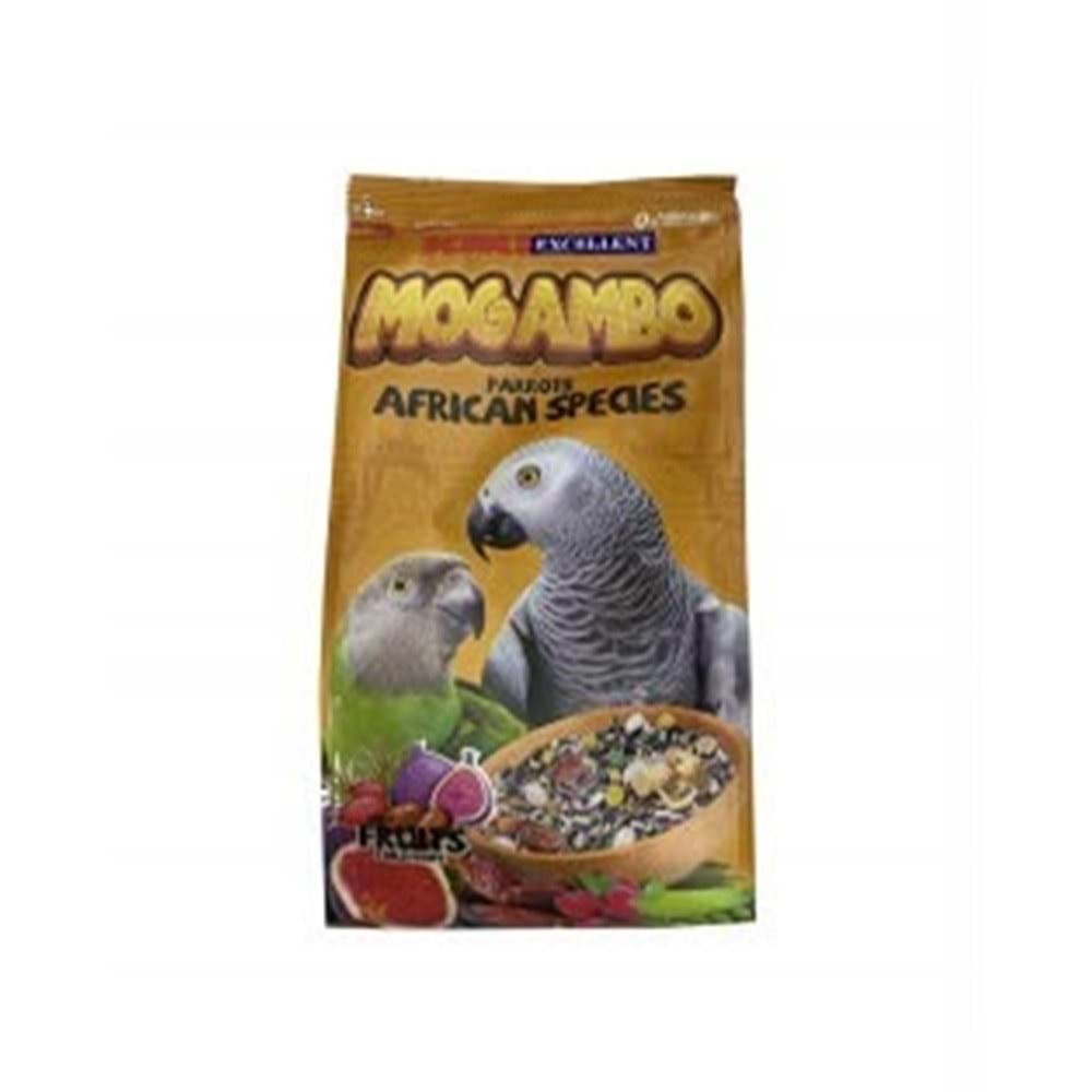 KİKİ AFRİCAN PAPAĞAN YEMİ 800G