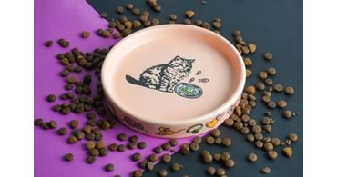 Kediler ve Köpekler İçin En Doğru Mama ve Su Kapları – Kıbrıs Versiyonu