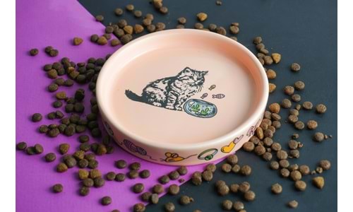 Kediler ve Köpekler İçin En Doğru Mama ve Su Kapları – Kıbrıs Versiyonu