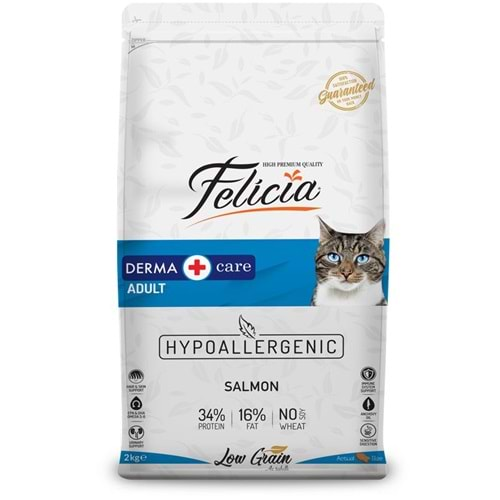 FELİCİA DERMA ADULT SALMON 2KG