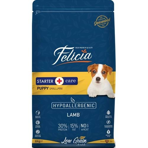 FELİCİA SMALL&MİNİ STARTER LAMB 6KG