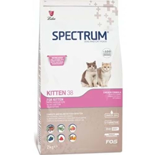 SPECTRUM KİTTEN 38 2KG