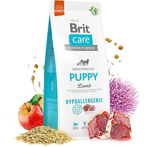 BRIT CARE PUPPY LAMB RİCE 3KG