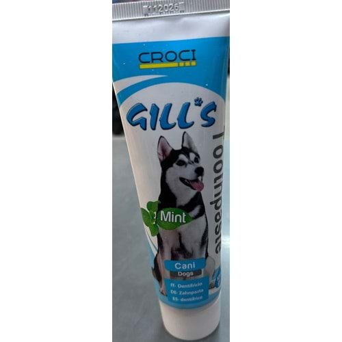 GILLS MINT TOOTHPASTE 100G