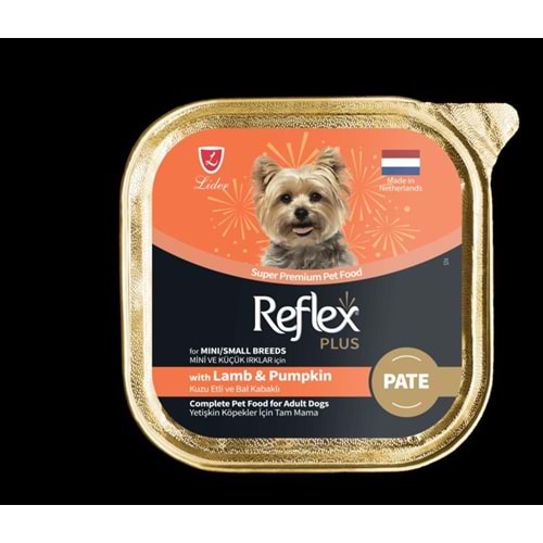 RFK123-RP KUZU ETLİ BAL KABAKLI PATE MİNİ