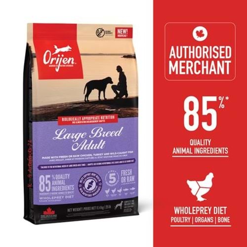 ORİJEN ADULT LARGE DOG FOOD 11.4KG