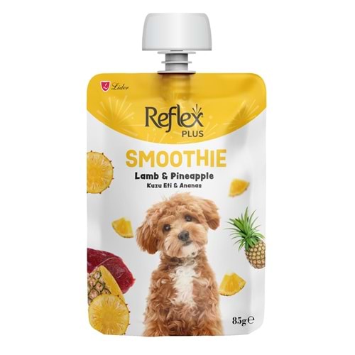 REFLEX PLUS SMOTHIE KUZU ETLİ ANANASLI 85G