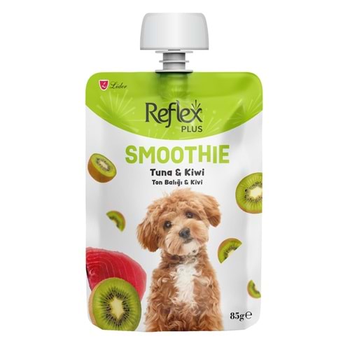 REFLEX PLUS SMOTHIE TON BALIKLI KİVİ 85G