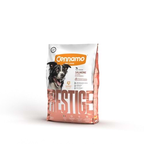 CENNAMO PRESTİGE MEDIUM ADUL SALMON 2KG
