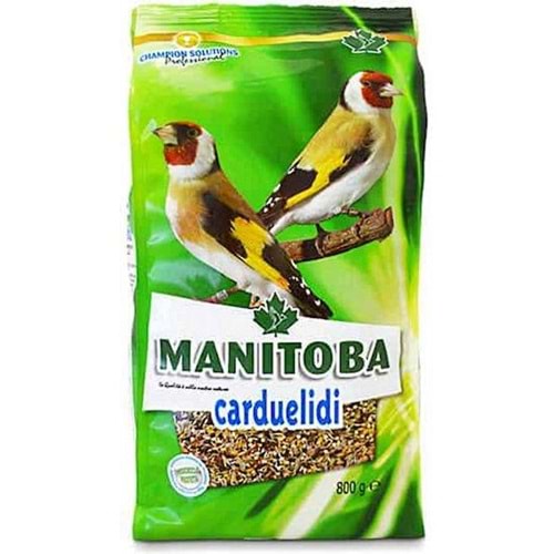 MANİTOBA CARDUELİDİ BÜLBÜL YEMİ 800G