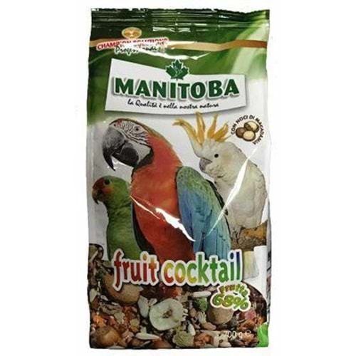 MANİTOBA FRUİT COCKTAİL 700G