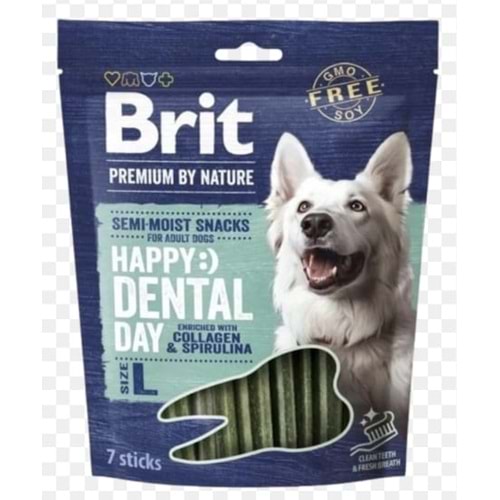 BRIT PREMIUM DENTAL STİCK LARGE 7PCS 250G