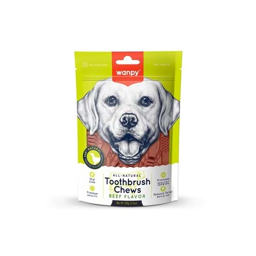 WANPY TOOTHBRUSH CHEWS BEEF FLAVOR 100G