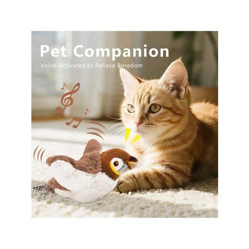 CAT TOYS FLAPPİNG