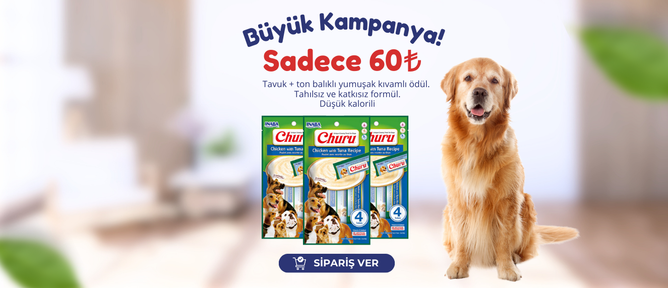 Kıbrıs Köpek Ödül Maması