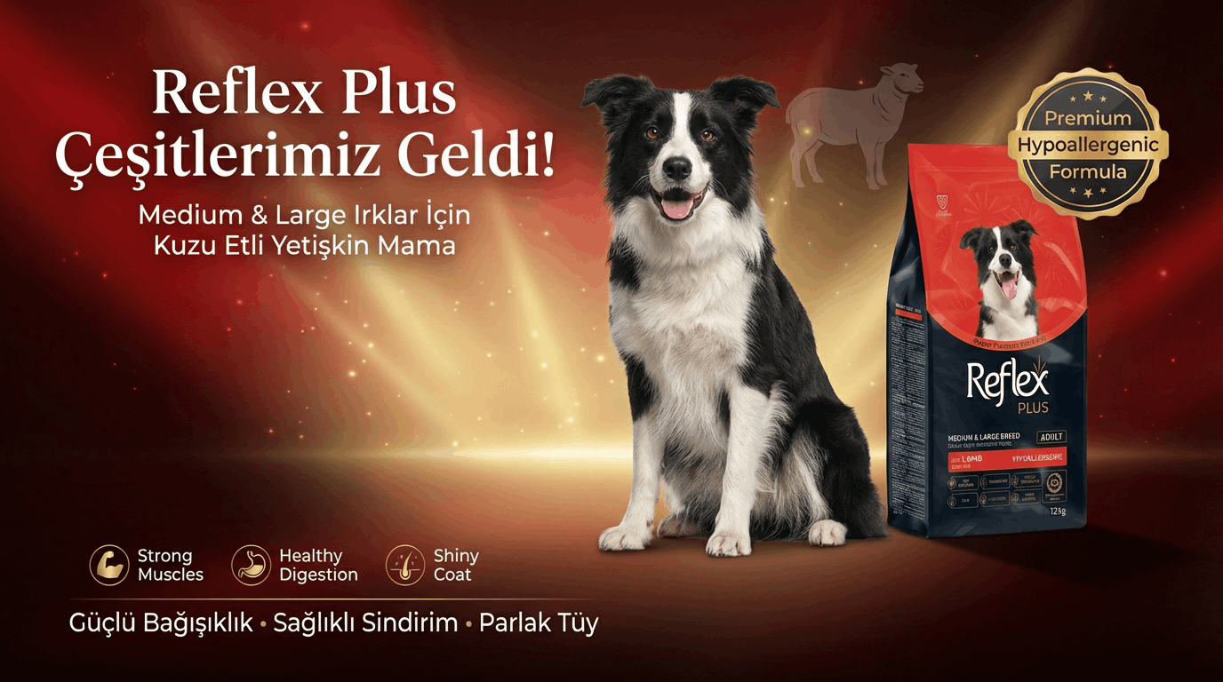 Kıbrıs Reflex Köpek Maması
