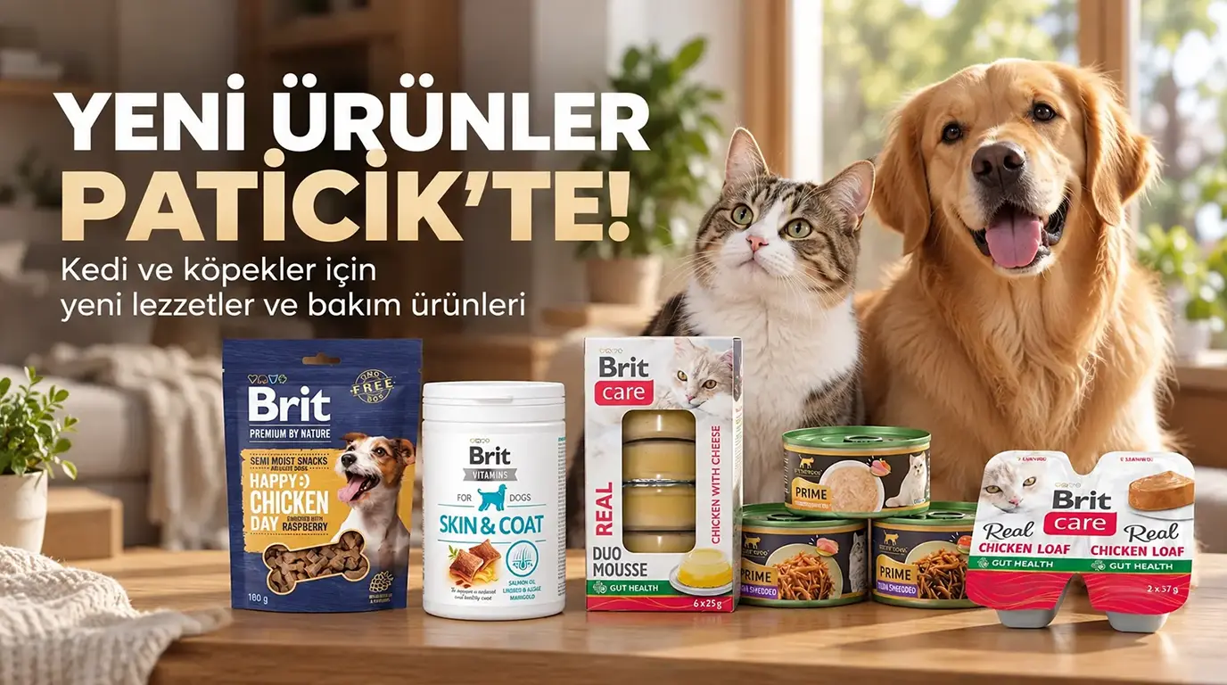 Kıbrıs Brit Kedi Köpek Mama ve Bakım Ürünleri