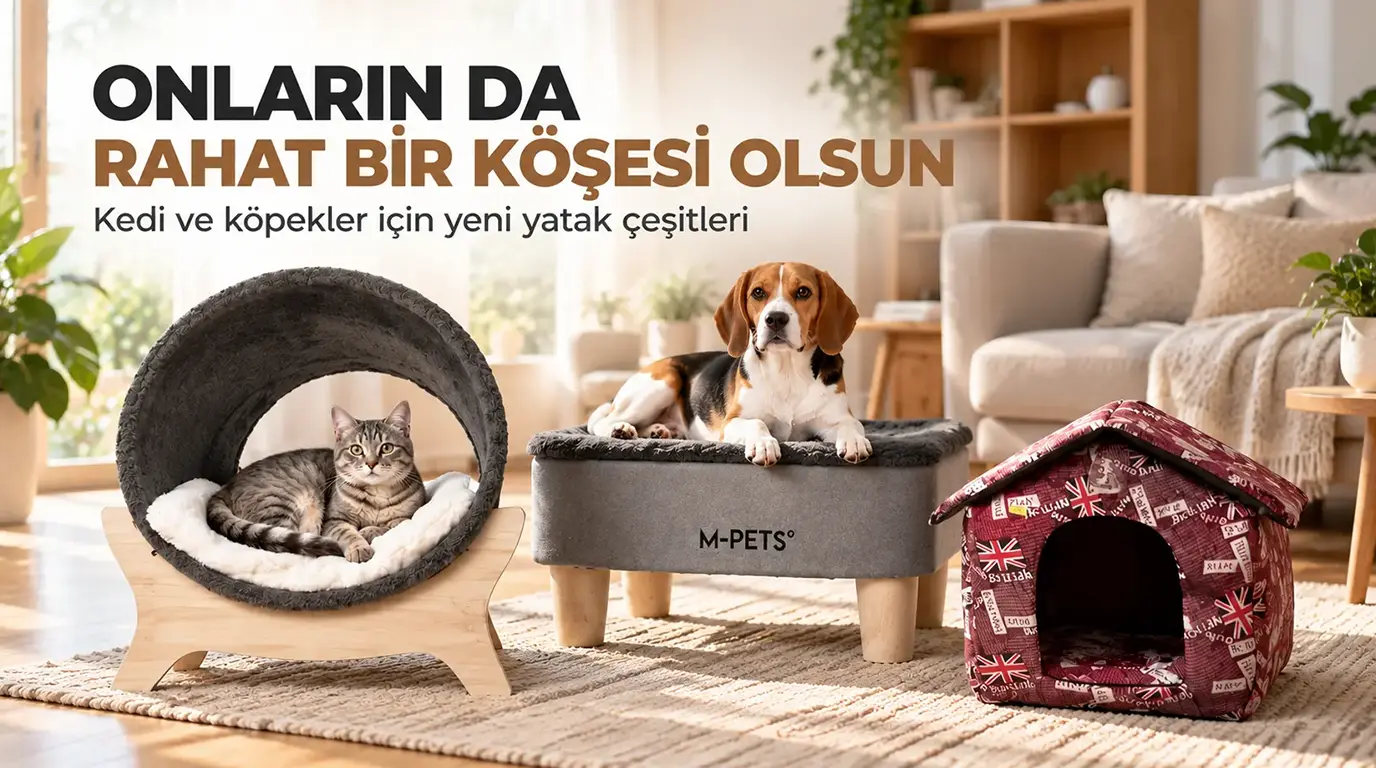 Kıbrıs Kedi Köpek Yatak Çeşitleri