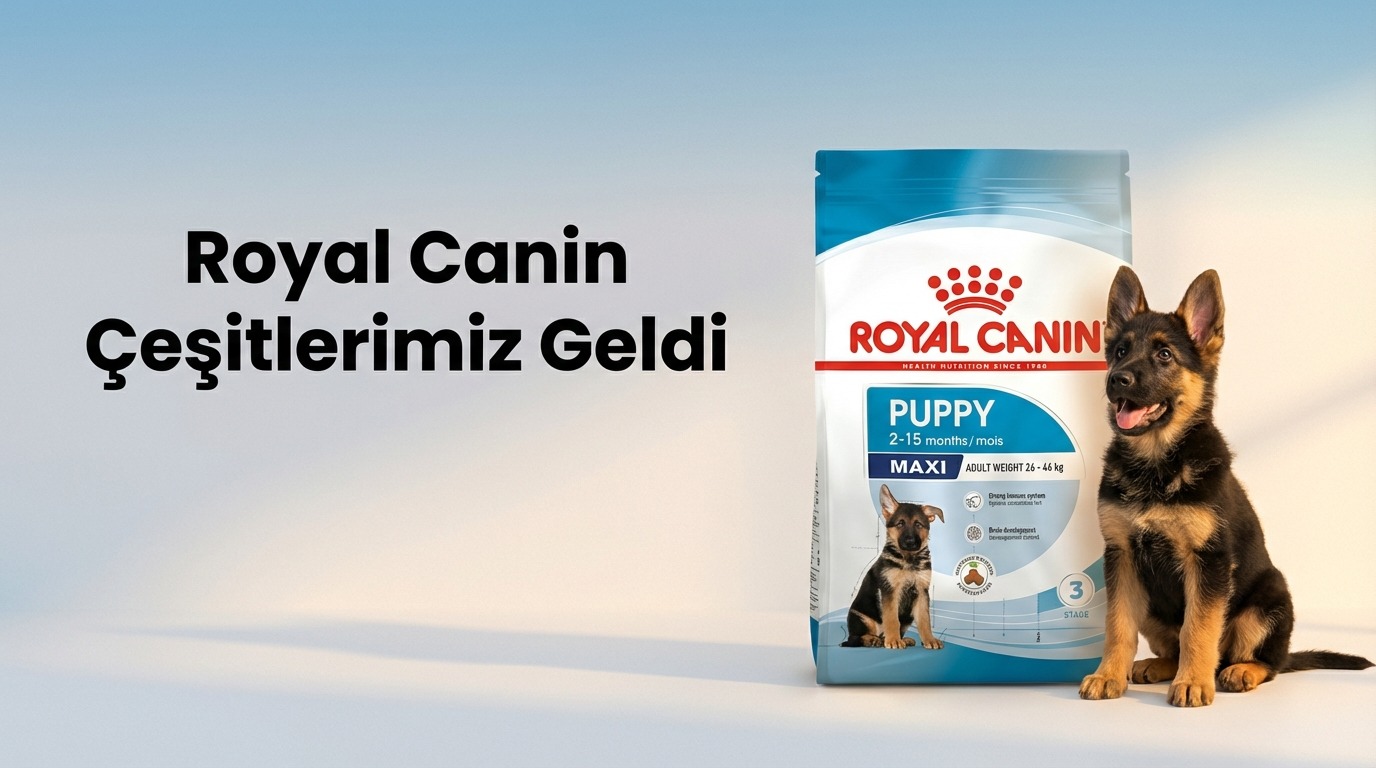 Kıbrıs Royal Canin