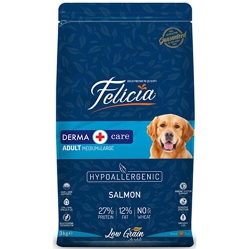 FELİCİA MEDIUM&LARGE ADULT SALMON 15KG