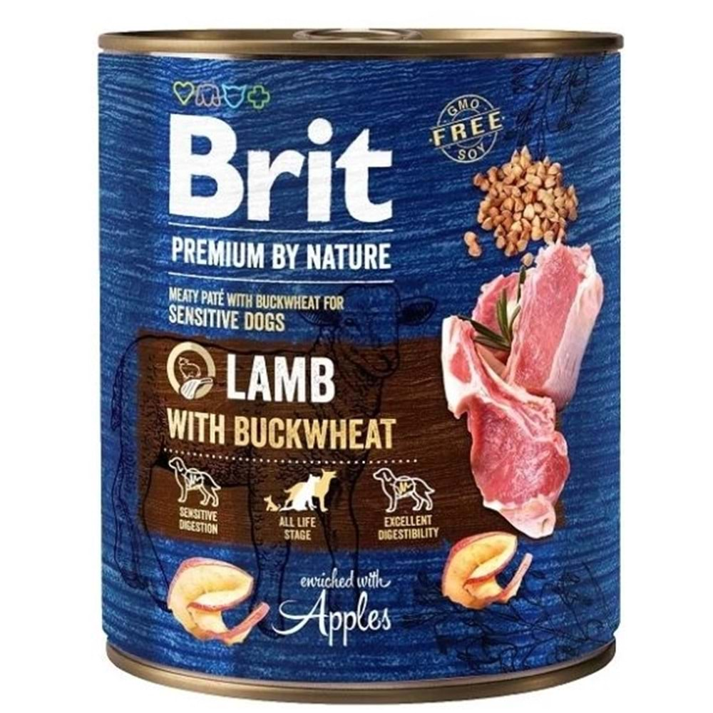 BRIT PREMIUM LAMB WİTHS BUCKWHEAT 800G