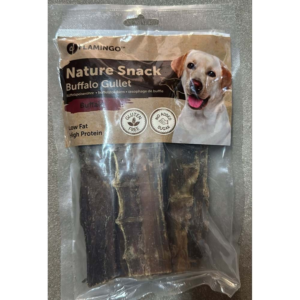 NATURE SNACK GULLET FLAT 100GR